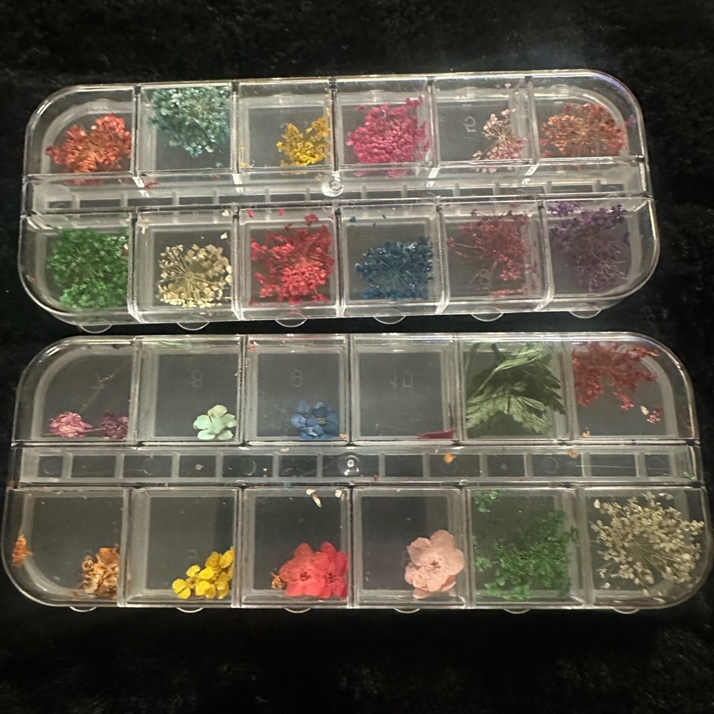 Nail Art Assorted dry flowers